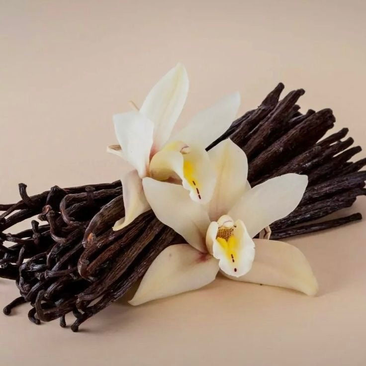 Vanilla