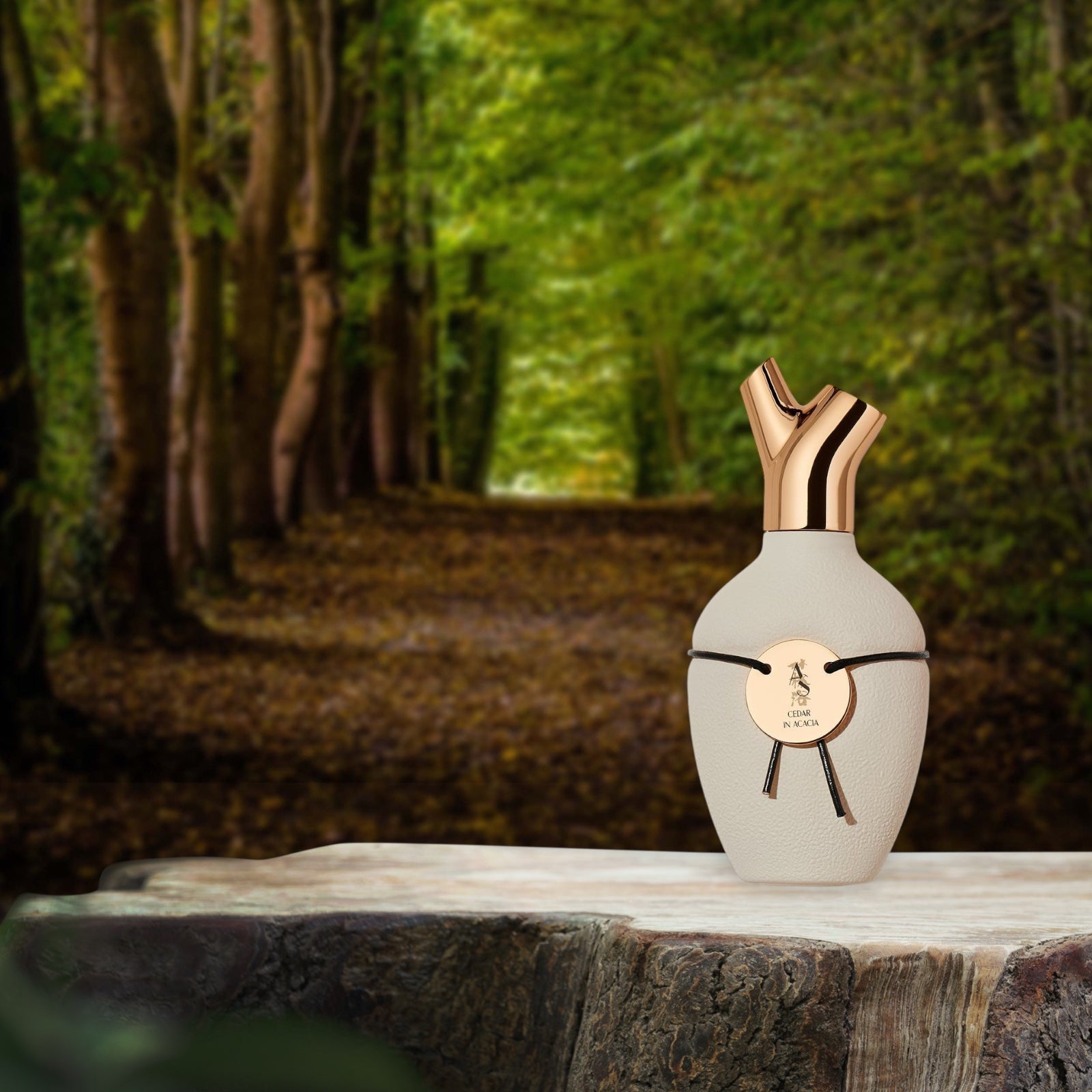 CEDAR IN ACACIA
CÈDRE EN ACACIA
BY PASCAL GAURIN