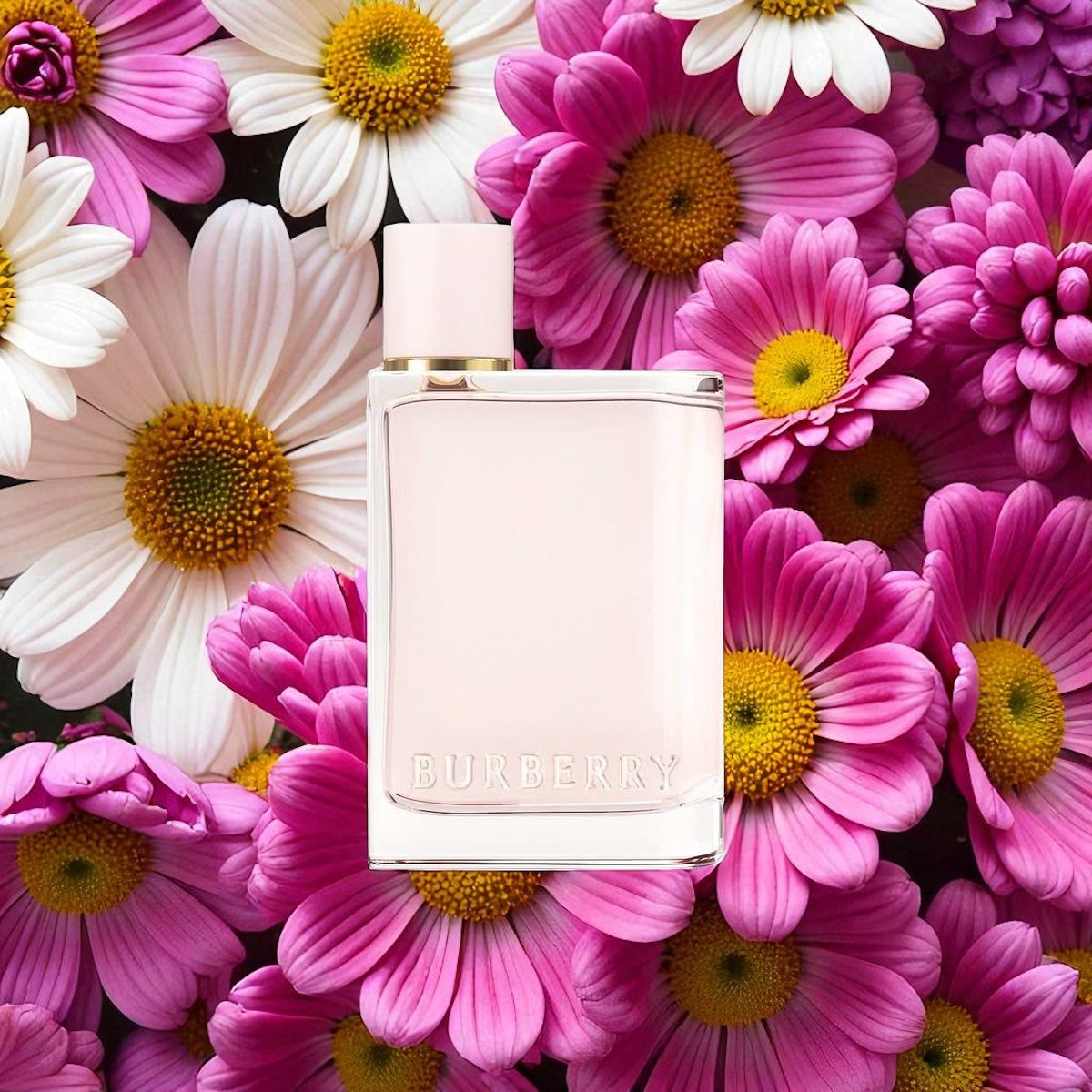 BURBERRY
Her Perfume