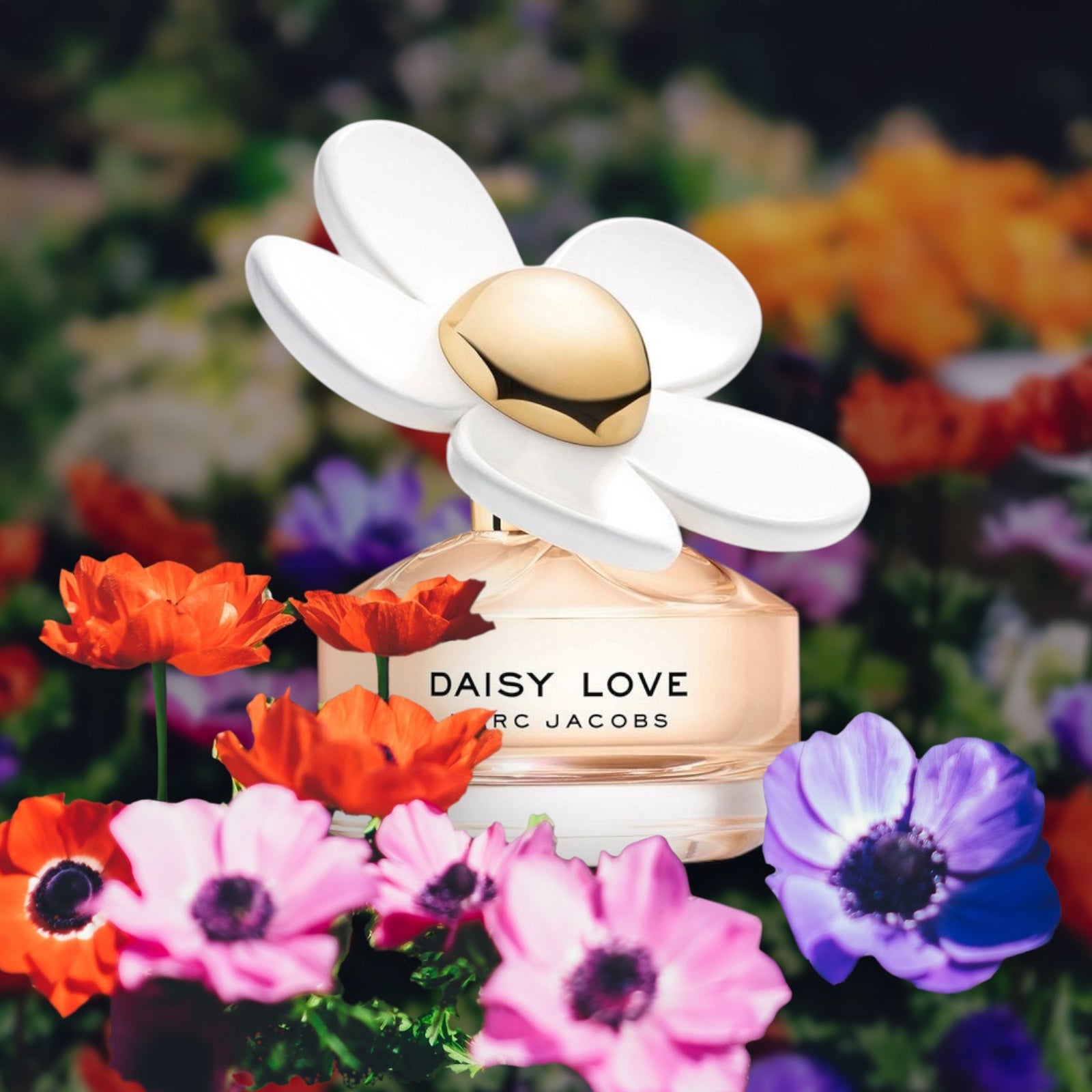 MARC JACOBS
Daisy Love Perfume