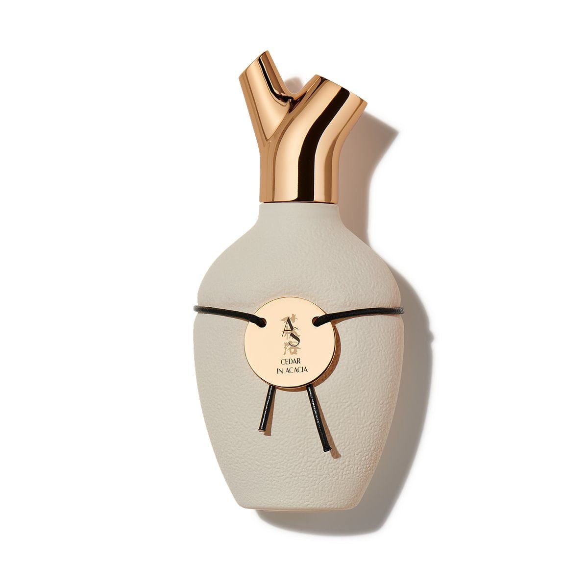 CEDAR IN ACACIA
CÈDRE EN ACACIA
BY PASCAL GAURIN