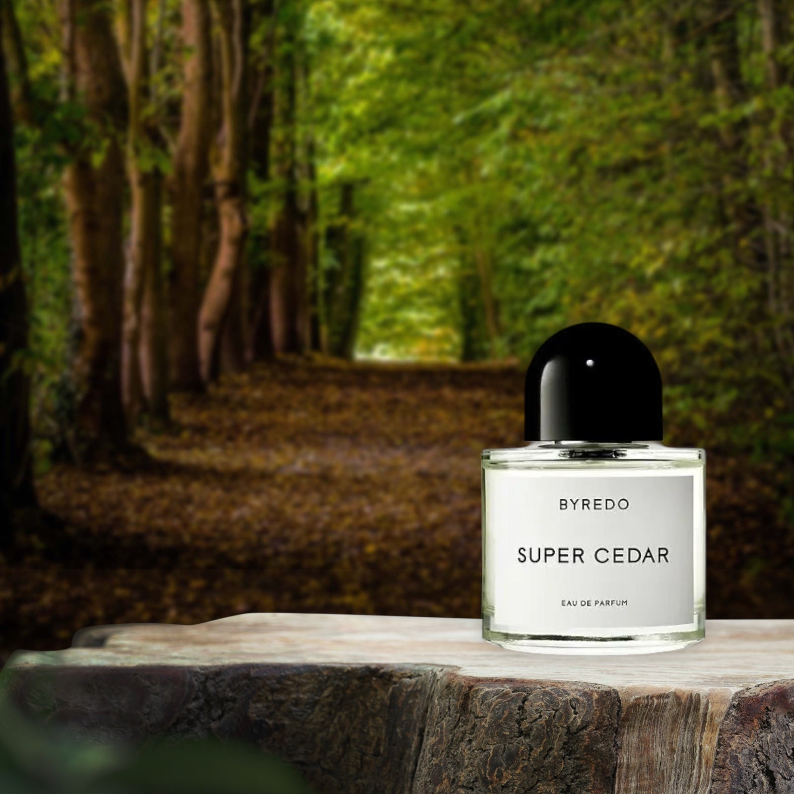 BYREDO
Super Cedar Eau de Parfum Fragrance Collection
